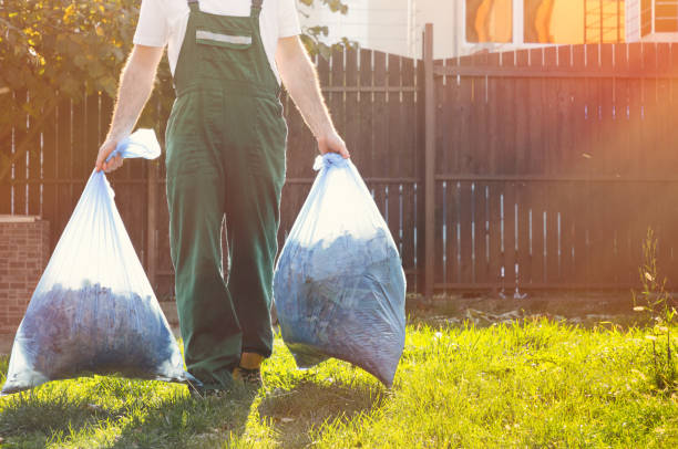 Best Junk Hauling Services  in Villa Park, CA